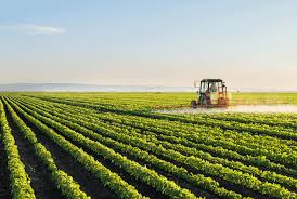 Landscape around Washim